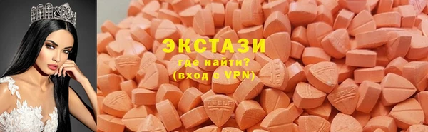 ECSTASY Гусь-Хрустальный
