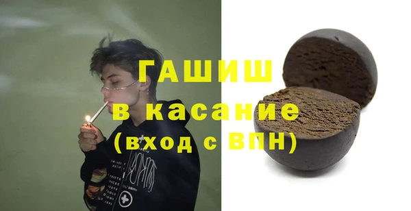 ECSTASY Гусь-Хрустальный