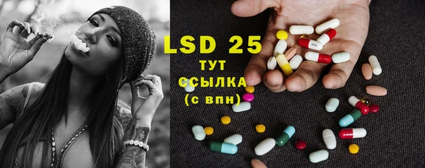 ECSTASY Гусь-Хрустальный