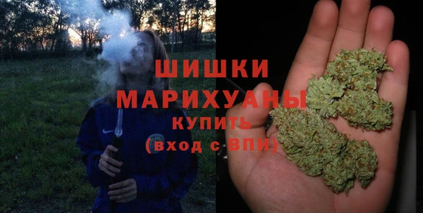 ECSTASY Гусь-Хрустальный