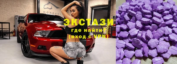 ECSTASY Гусь-Хрустальный
