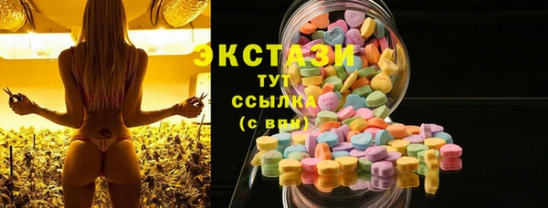 ECSTASY Гусь-Хрустальный