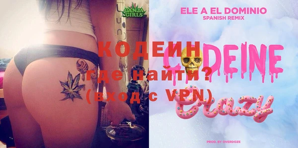ECSTASY Гусь-Хрустальный