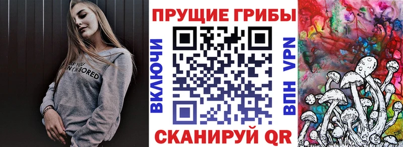 Купить где  Харабали  Галлюциногенные грибы Magic Shrooms 